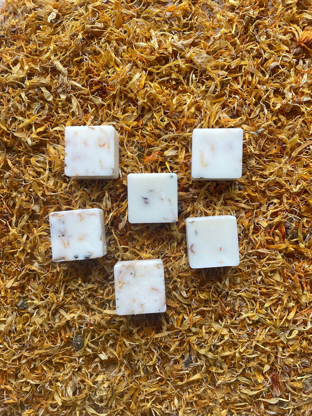 Green Fig and Vetiver Wax Melts