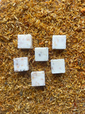 Green Fig and Vetiver Wax Melts