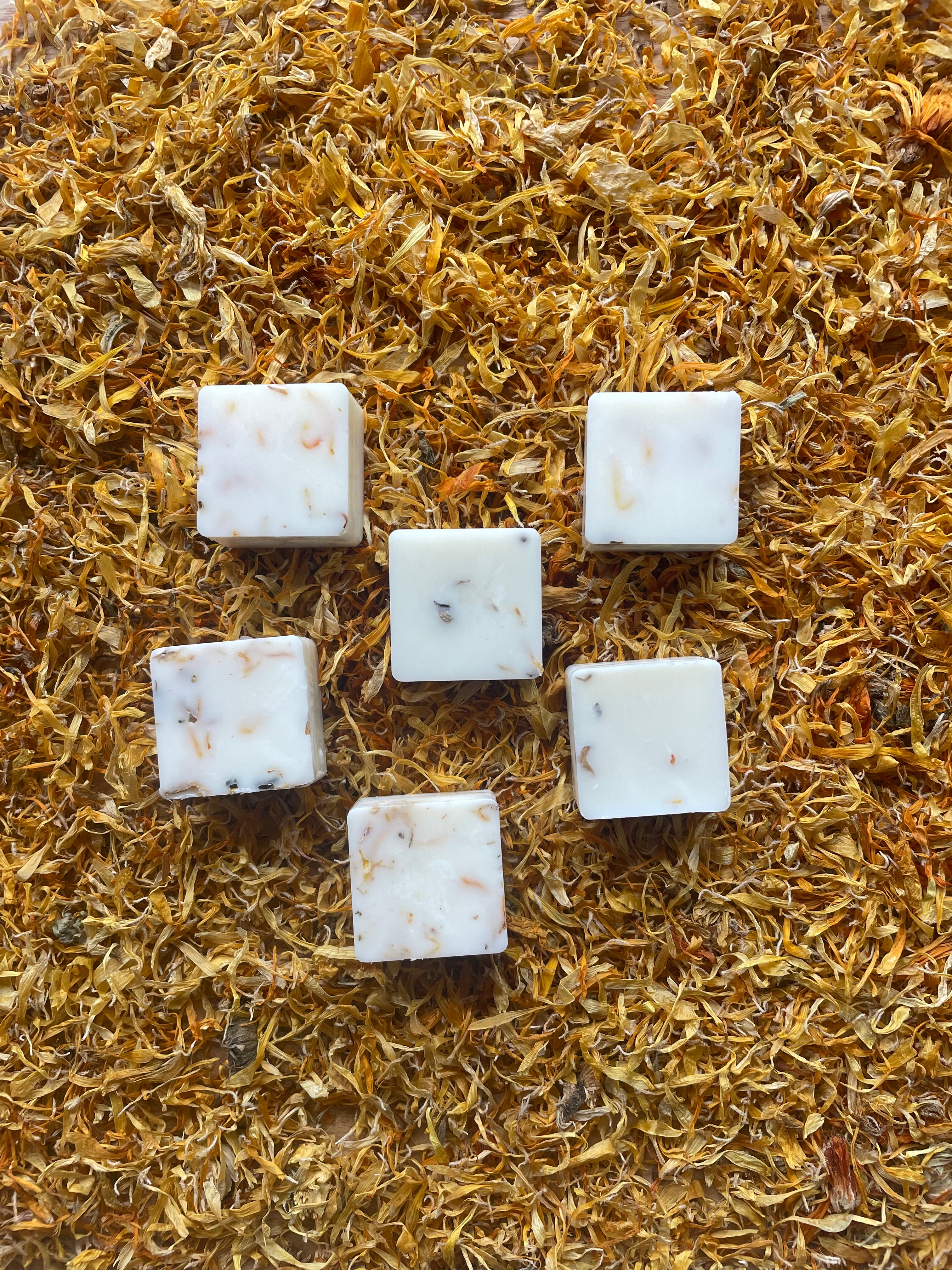 Green Fig and Vetiver Wax Melts